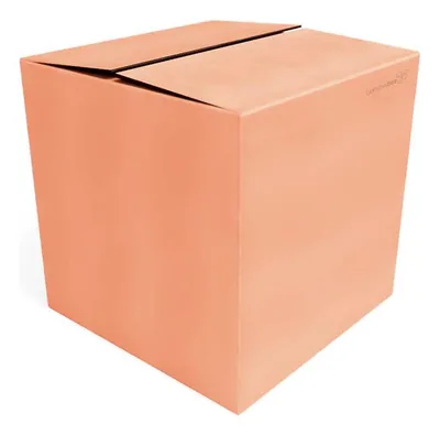 Caixa Papelao Triplex N.00 (39X30X34) Un