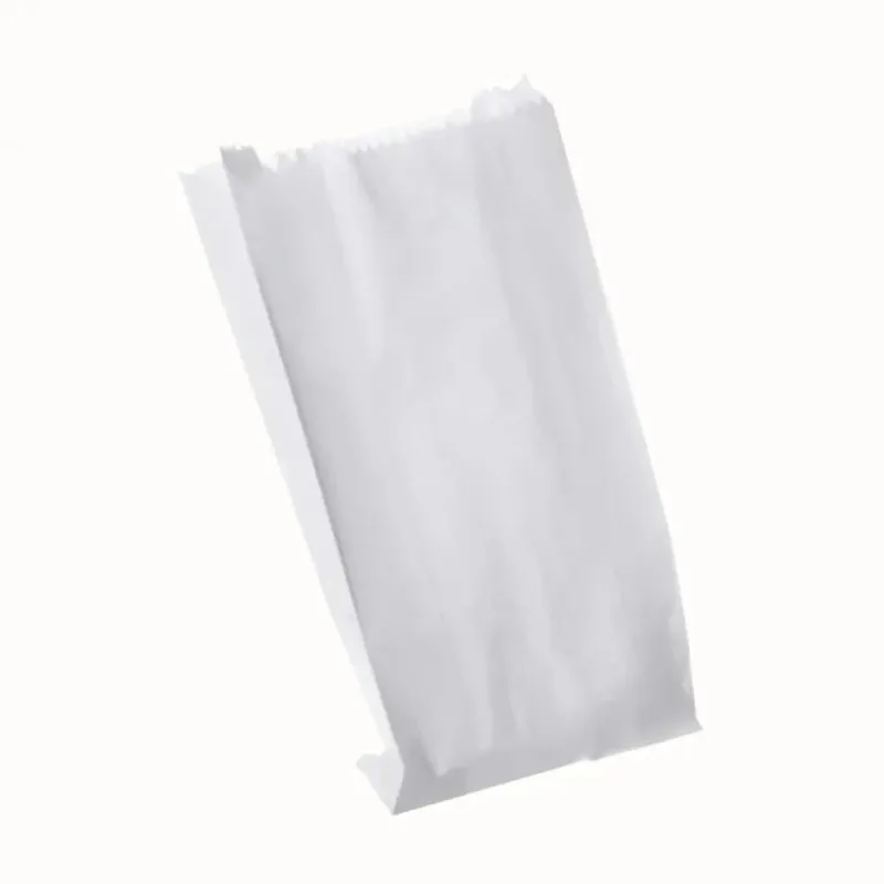Saco Mono Branco Viagem 01(30GR)13,5X21 C/100