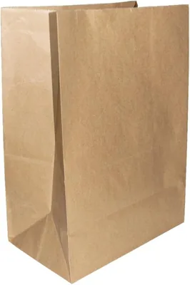 Saco Kraft Natural 01,0 Kg (10X26,5) C/500
