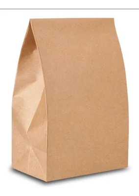 Saco Kraft Natural Sos - Gg (30X20X36) C/50